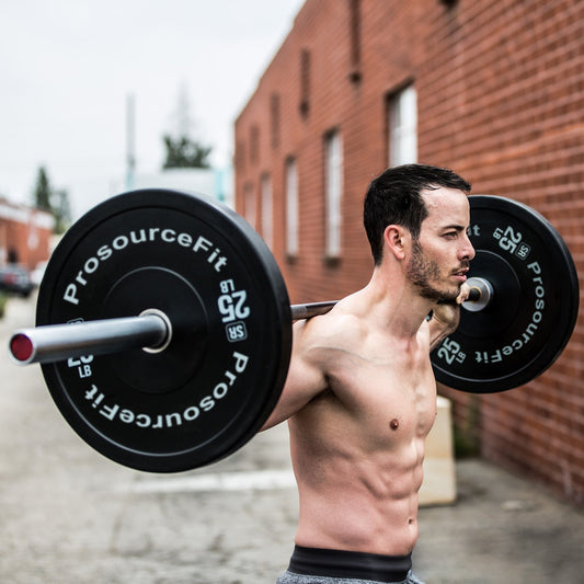 SR Bumper Plates (Single)