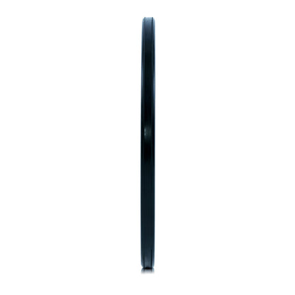 SR Bumper Plates (Single)